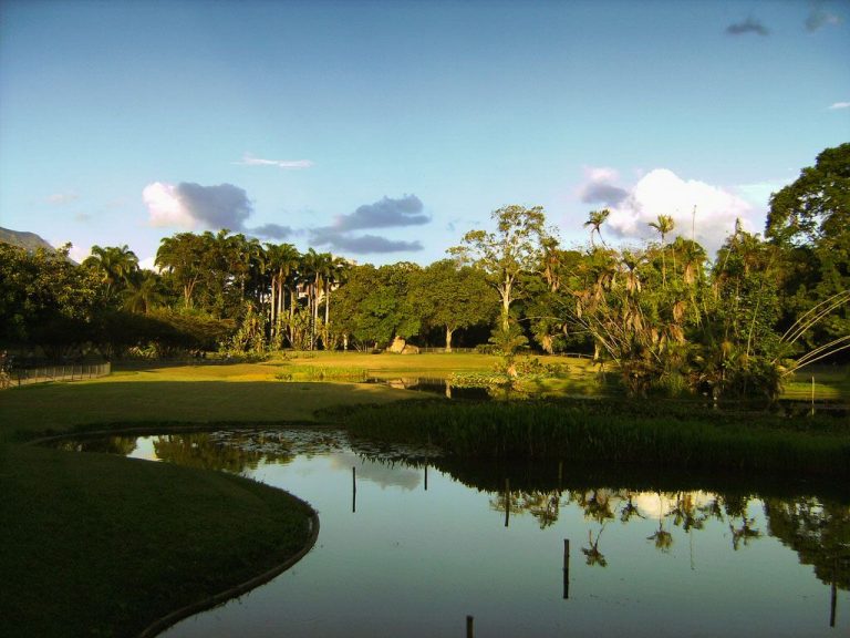 Parque Este Caracas